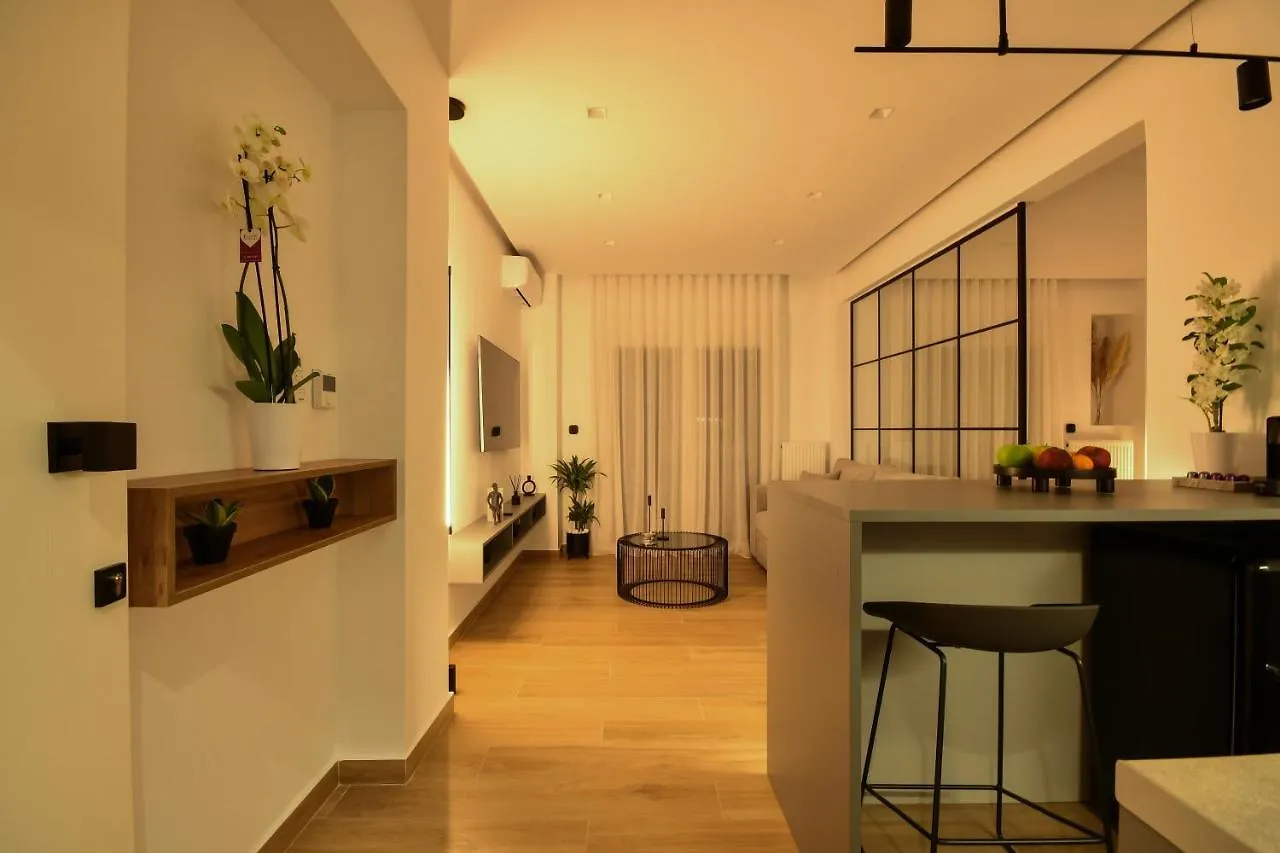 Luxury Downtown Apartment C1 سالونيك